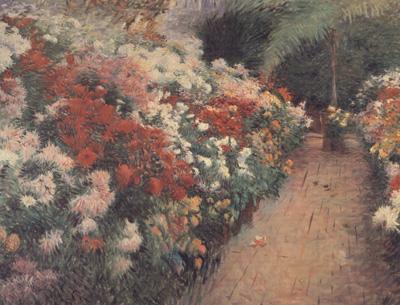 Dennis Miller Bunker Chrysanthenums (nn02) oil painting picture